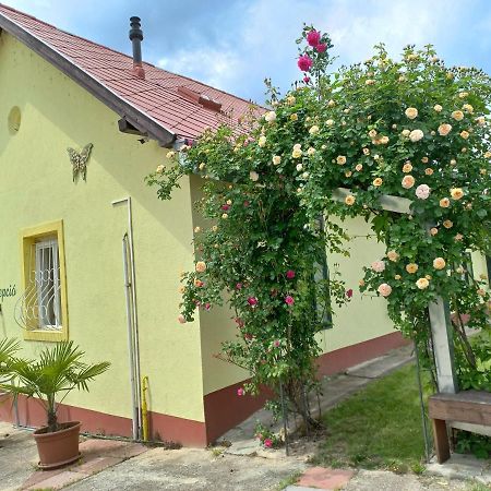 Bed and Breakfast Arnyas Park Apartmanhaz Balatonalmádi Zewnętrze zdjęcie